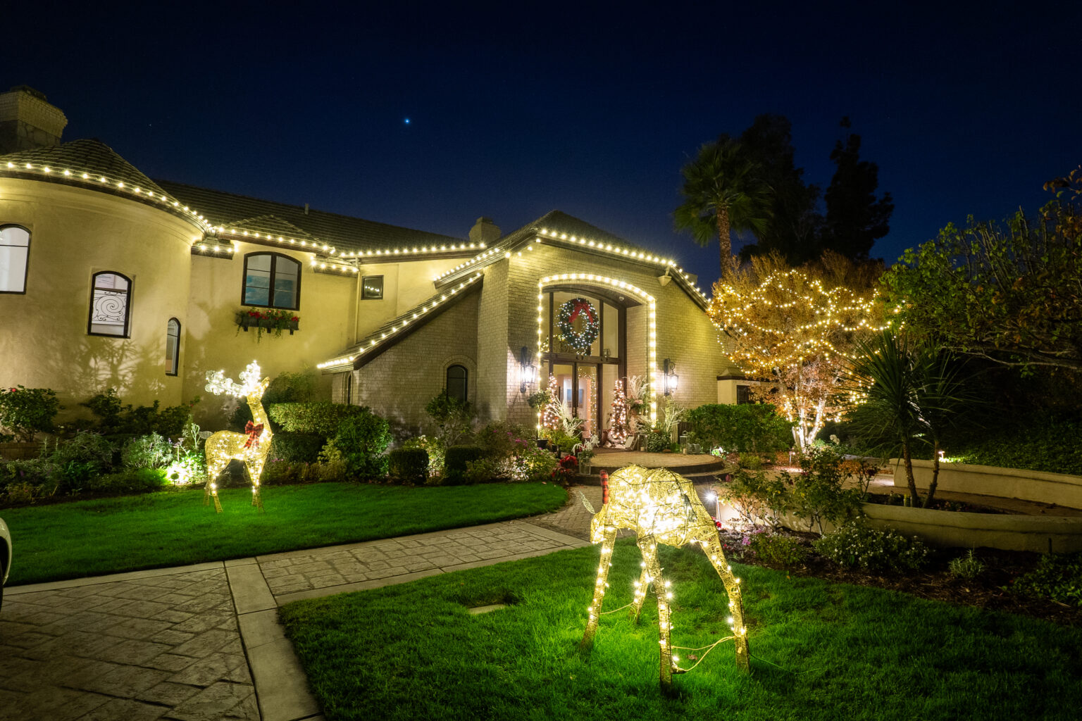 Professional Christmas Light Installation Services - kanesrestaurant.com