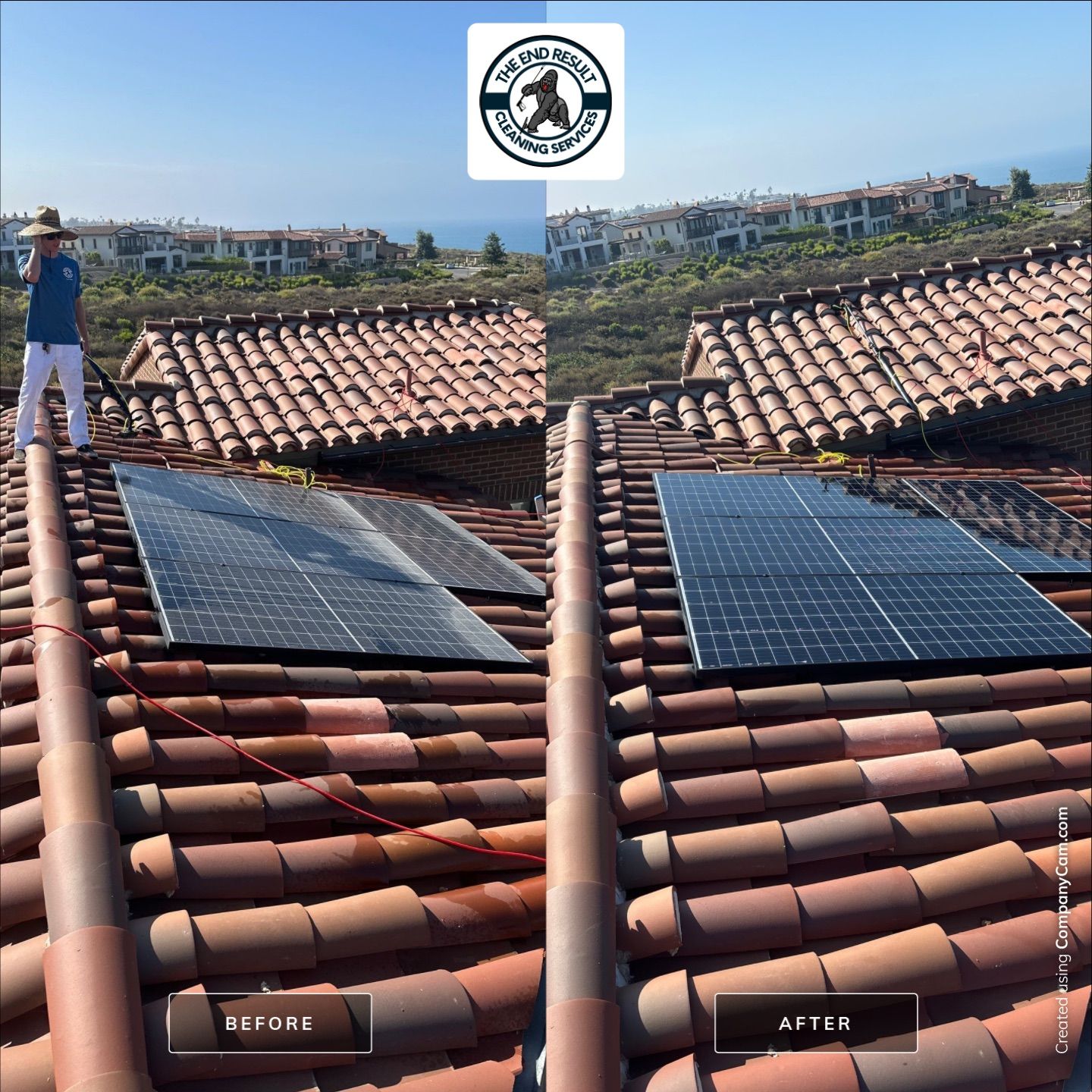 Solar Panel Cleaning