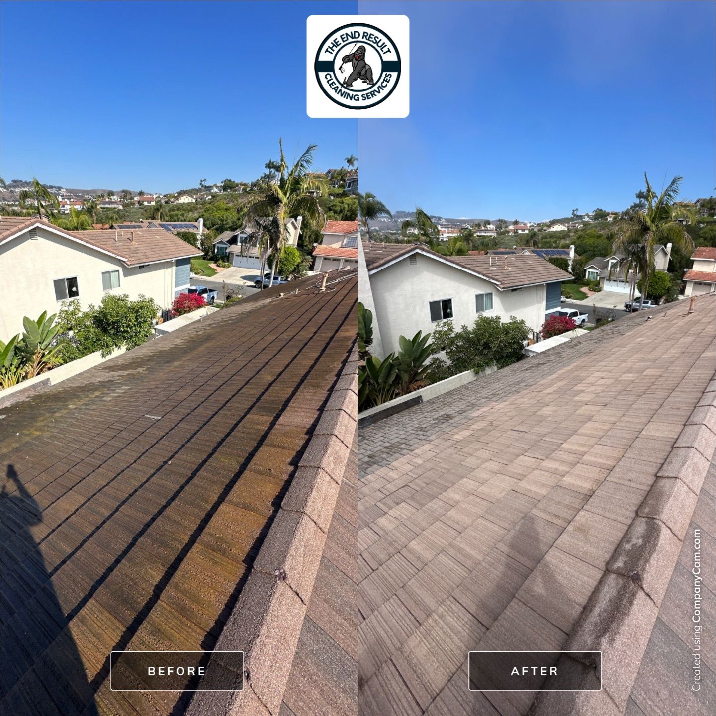 Roof Cleaning