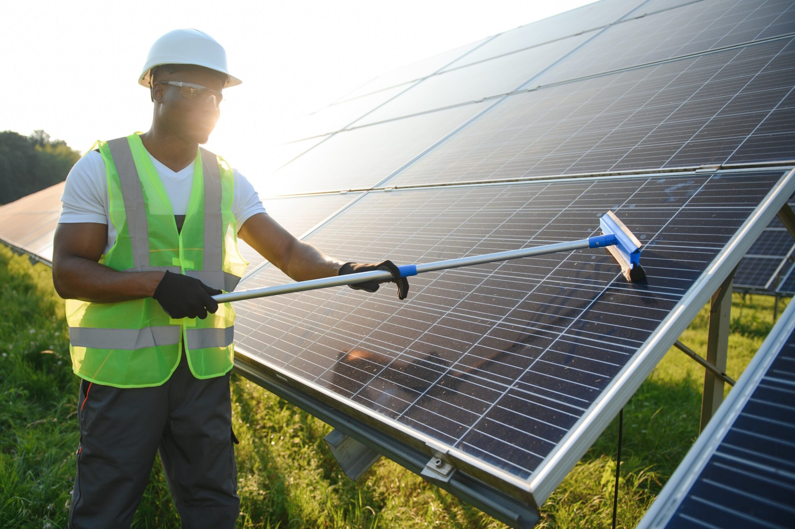 Solar Panel Cleaning