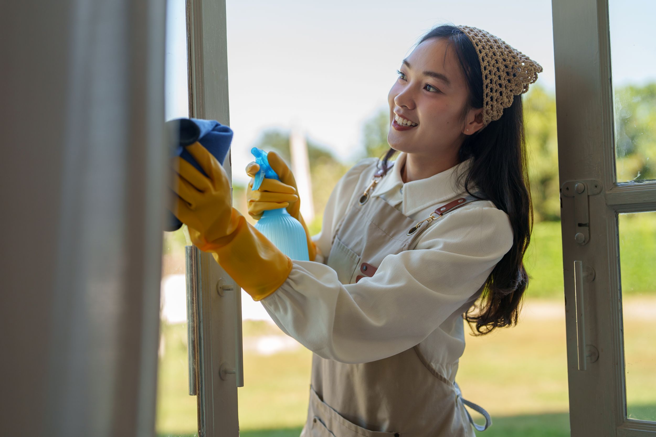 Window Cleaning